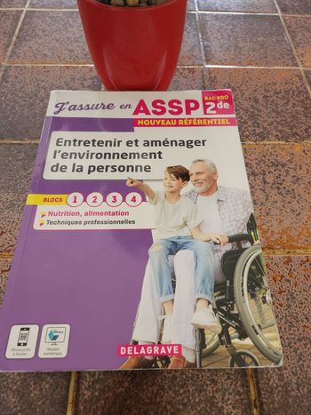 Entretenir et amenager l environnement de la personne ASSP