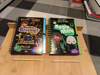 Livres magique à gratter Harry Potter