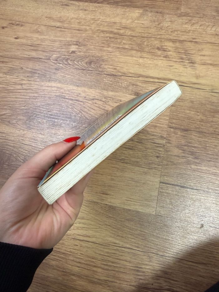 Chair de poule – Les épouvantails de minuit – R.L. Stine bon état - photo numéro 6