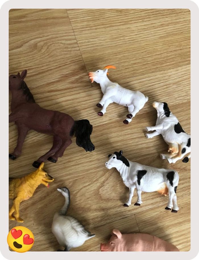 Animaux de la ferme - photo numéro 4