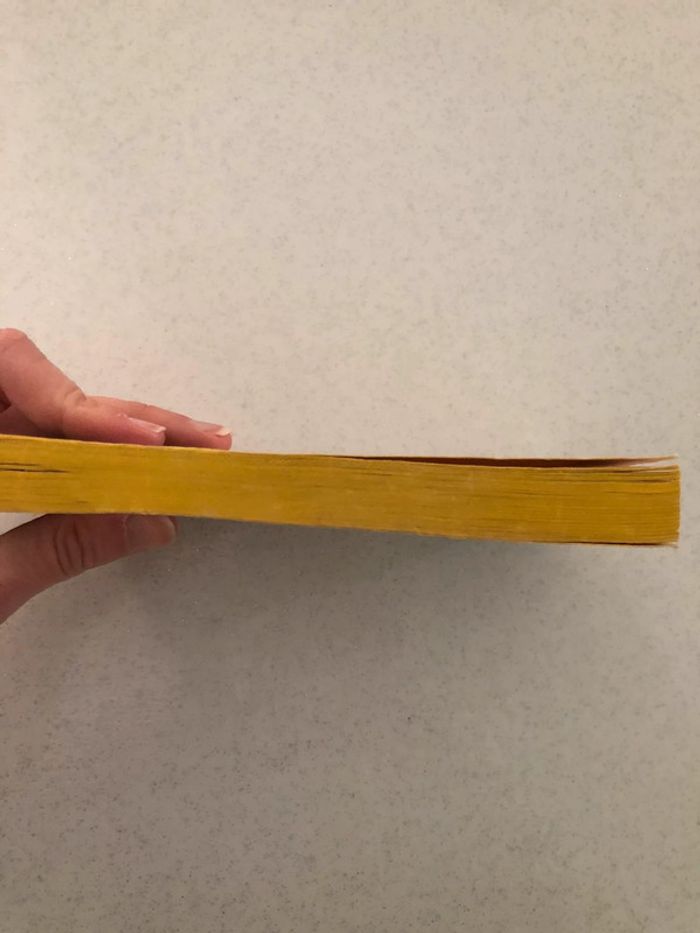 Livre Danielle Steel - photo numéro 4