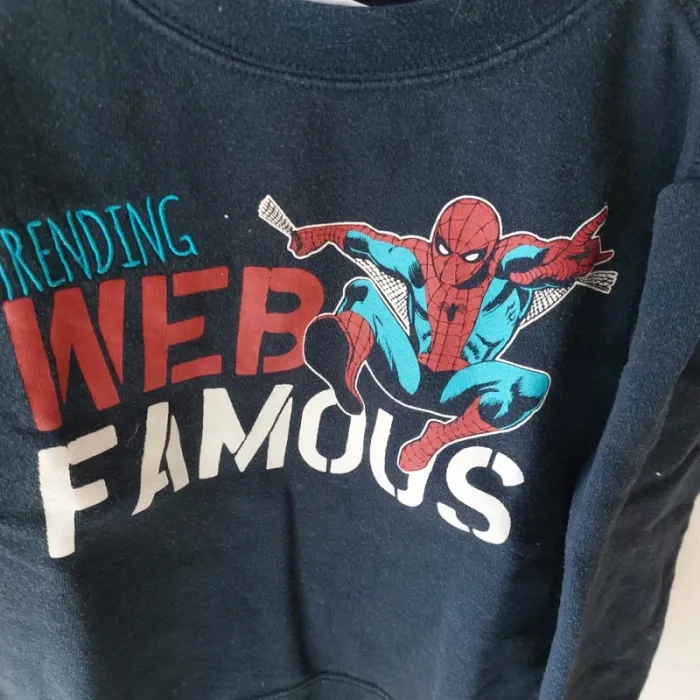 Sweat Spiderman 3 ans - photo numéro 2
