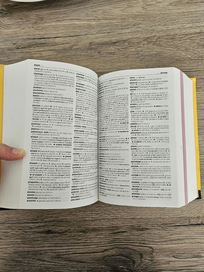 Dictionnaire Français espagnol Larousse - photo numéro 4