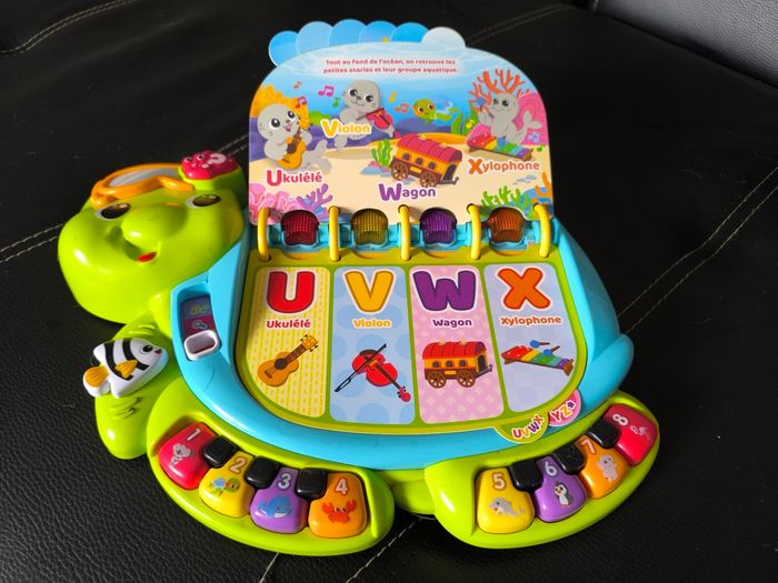 Thaïs la tortue exploratrice - photo numéro 7