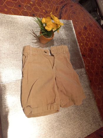 Joli short 9 a 12 mois beige type velours