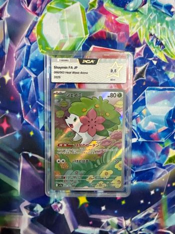 Shaymin FA Jap PCA 9.5
