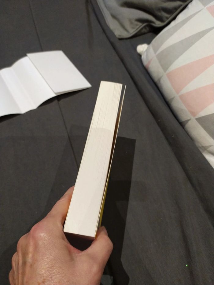 D'où vient l'amour d'Yann Queffelec - photo numéro 5