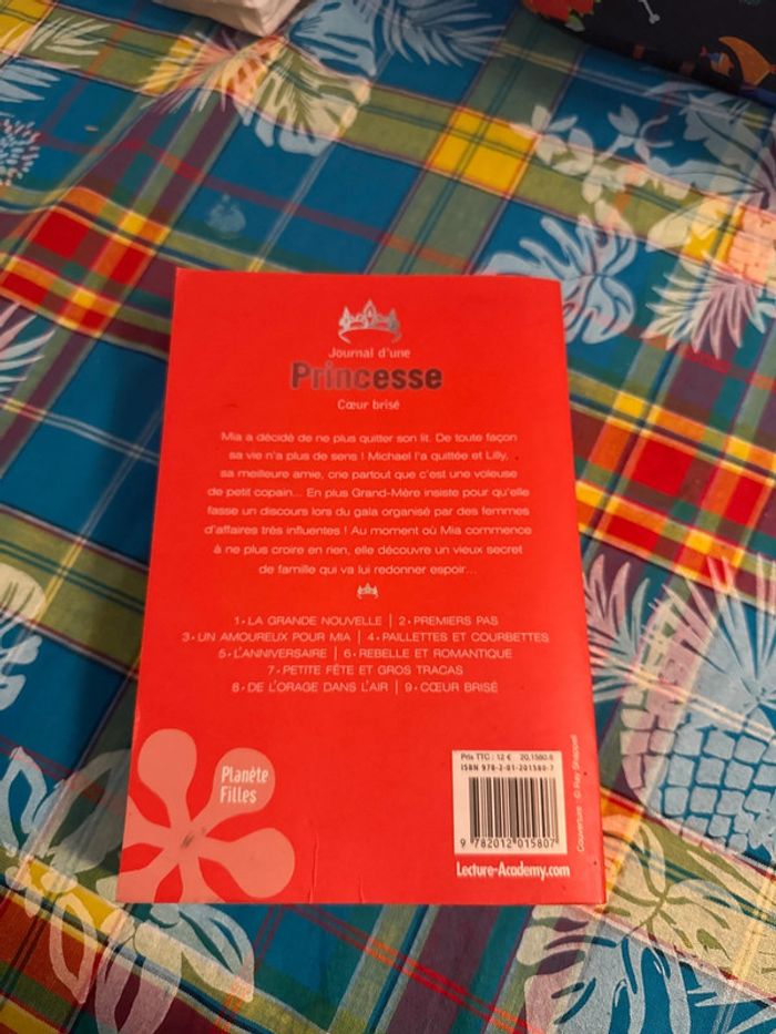 Livre journal d’une Princesse - cœur brisé - meg cabot - photo numéro 2