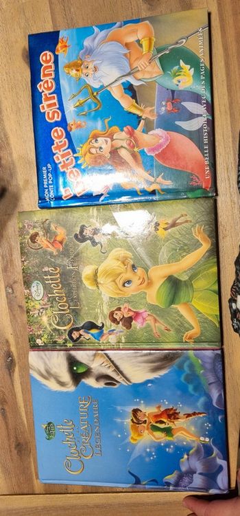 Lot de 6 gros livres Disney