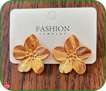 🌷jolie paire de boucle d’oreille 🌷