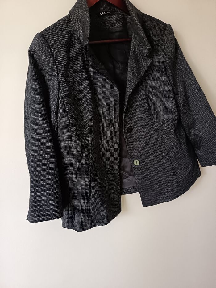 Blazer Caroll 40 - photo numéro 2