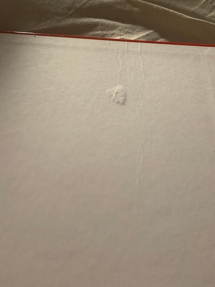 Livre - photo numéro 3