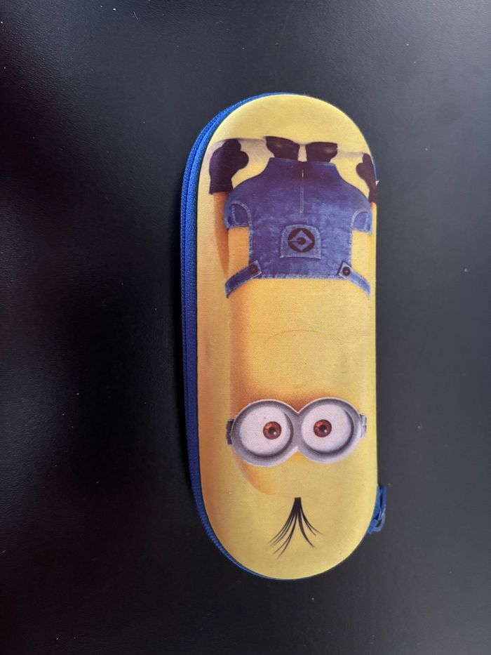 Étui à lunettes minions