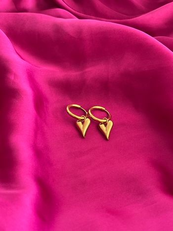 Boucles d’oreilles tendances cœur acier inoxydable