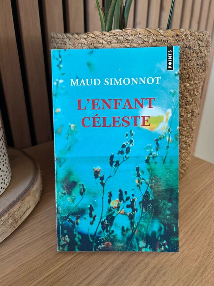 Livre L’enfant Céleste