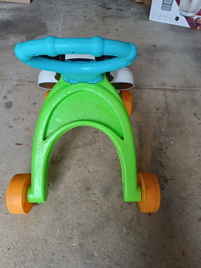 Trotteur zèbre - photo numéro 2