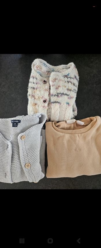 Lot 2 gilets un pull