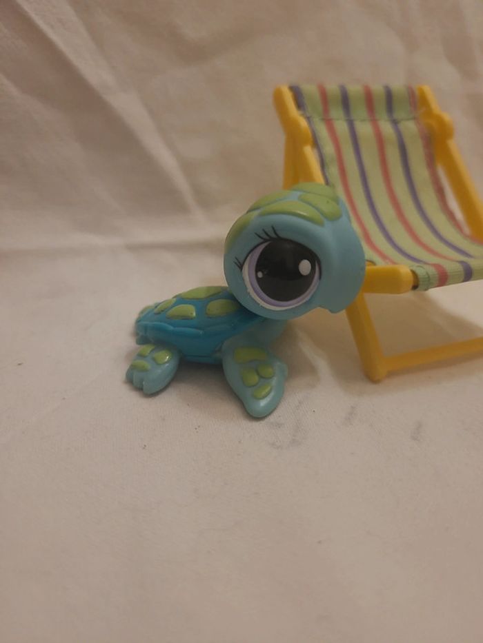 tortue de la mer petshop (rare)