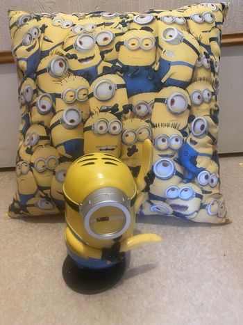 Lot coussin et tirelire minions