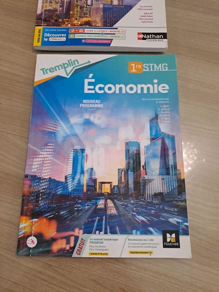 Lot manuel Économie 1ere STMG - photo numéro 3
