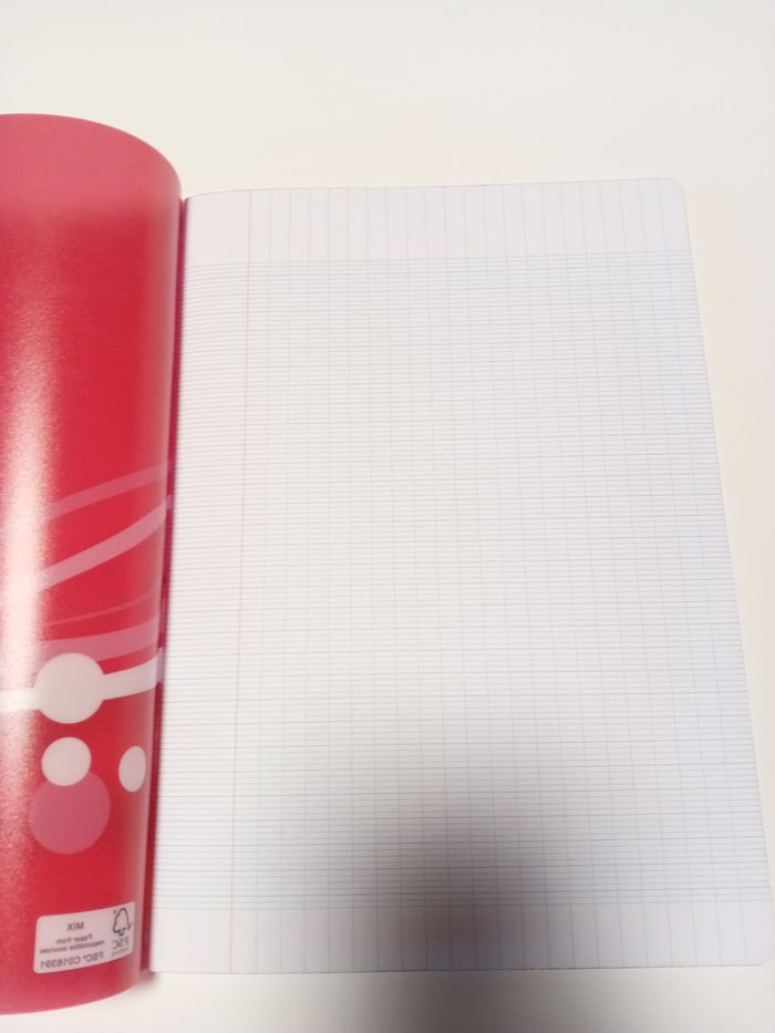 Cahier - photo numéro 3