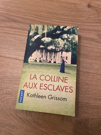 La colline aux esclaves kathleen grissom