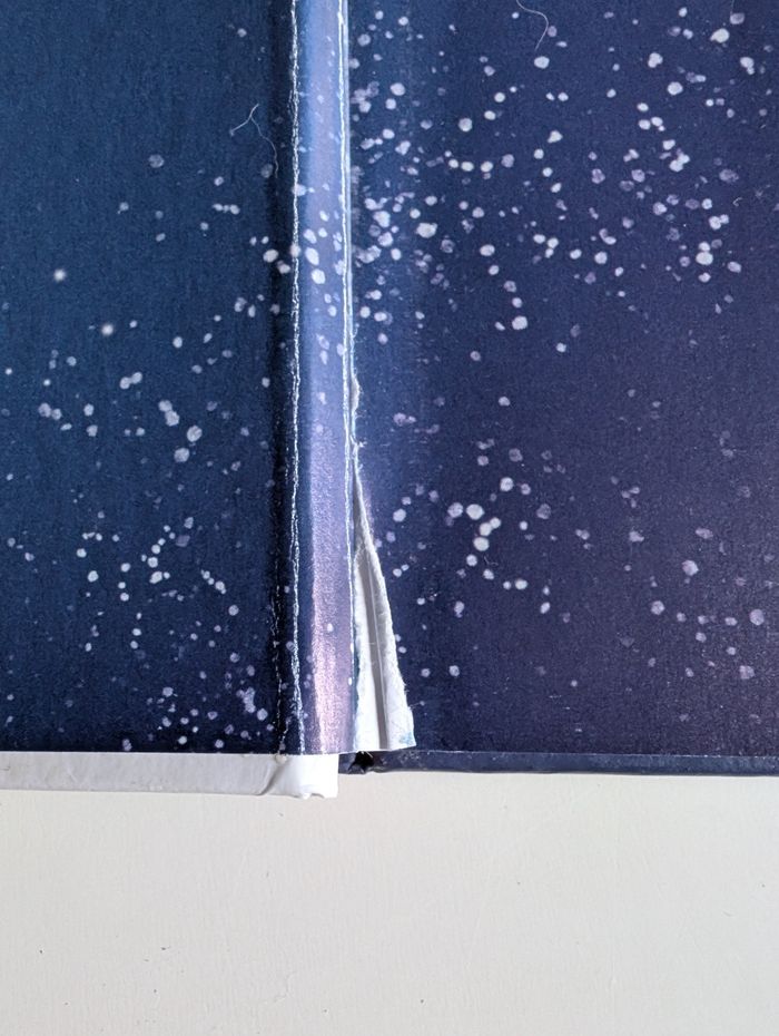 24 histoire magique du père noël - photo numéro 6