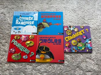 Lot de 5 livres Nathan