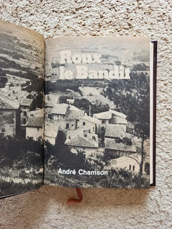 Lot de 2 livres anciens 1976 - Bibliothèque du temps présent - photo numéro 13