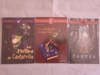 3 livres biblio collège