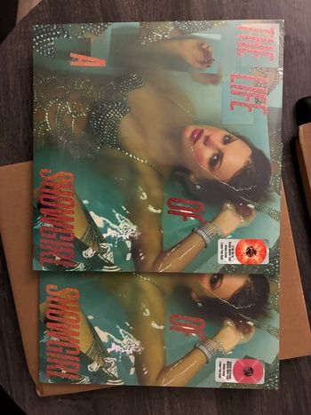 Lot de 2 vinyles Taylor Swift – The Life of a Showgirl – Orange & Magenta – Neufs