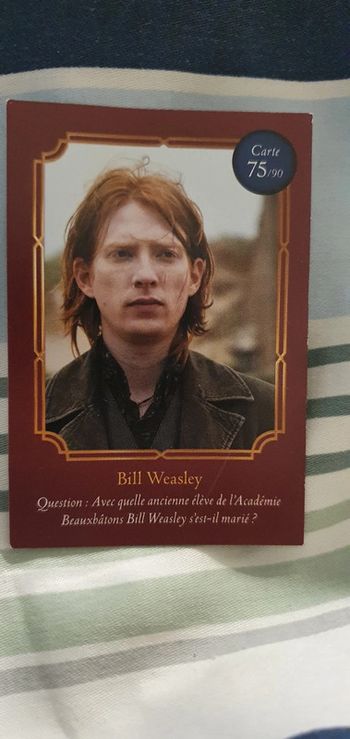 Cartes Harry Potter Auchan
Bill Weasley n° 75/90