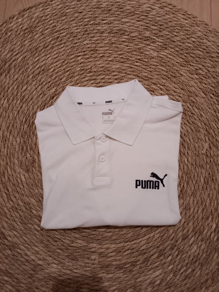 Polo Puma