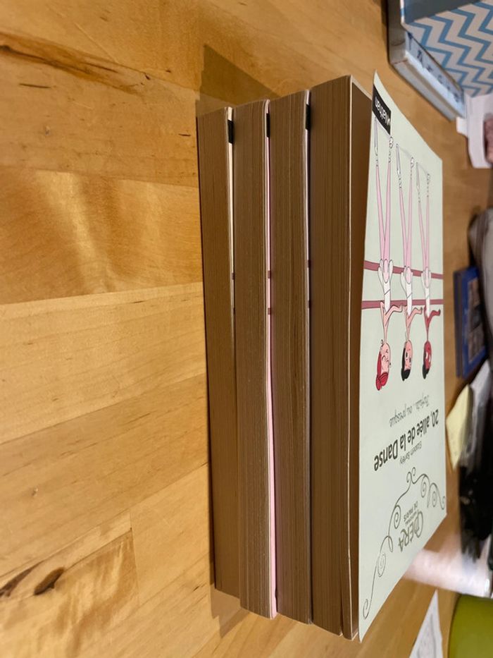 Livres 20, allée de la danse - photo numéro 4