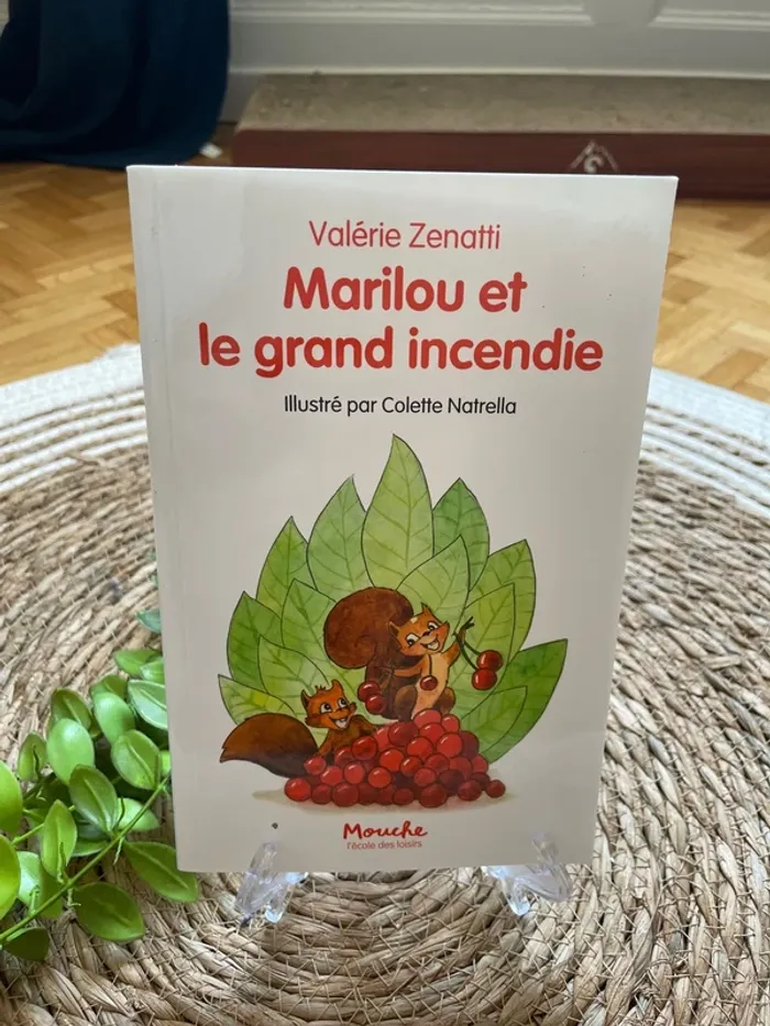 Livre - Marilou et le grand incendie
