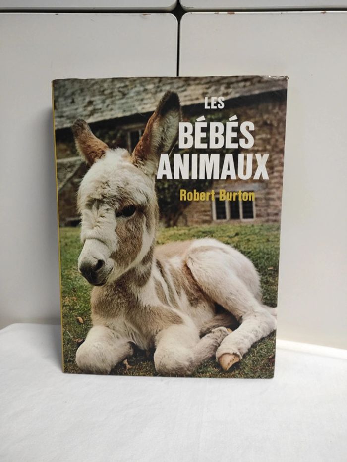Les bébés animaux, Robert Burton