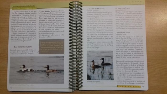 Bien Chasser - photo numéro 3