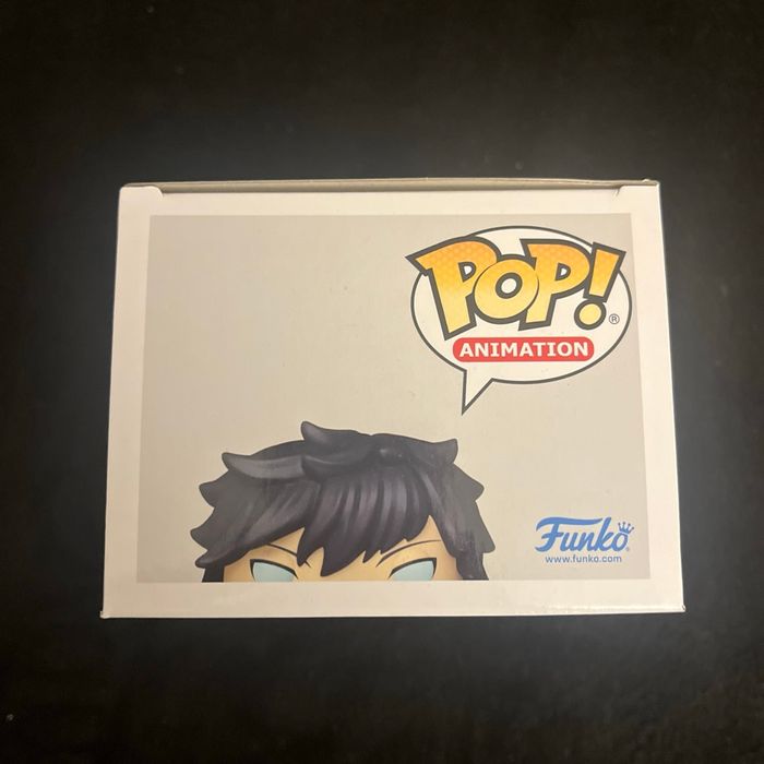 Sung jinwoo 2037 Funko Pop - photo numéro 6