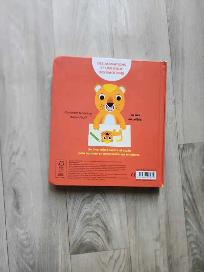 Livre mes petites émotions - photo numéro 4