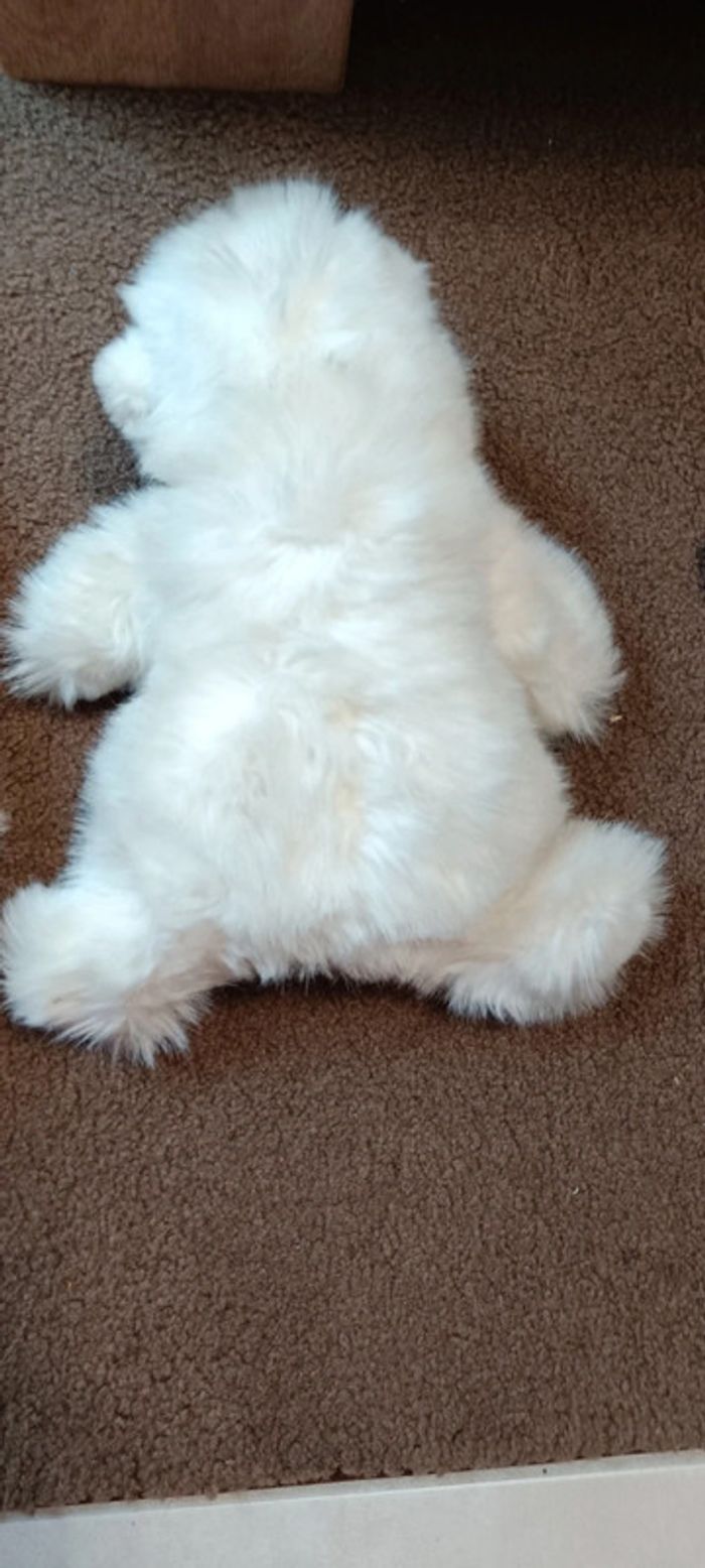 Lot peluche polaire vintage - photo numéro 5