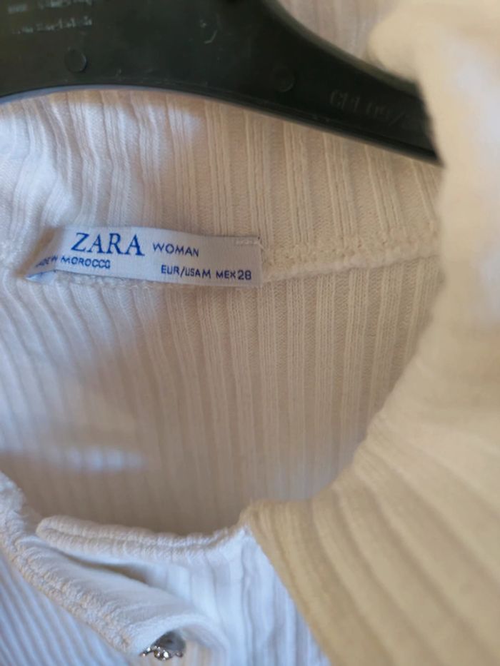 T-shirt coton - photo numéro 3