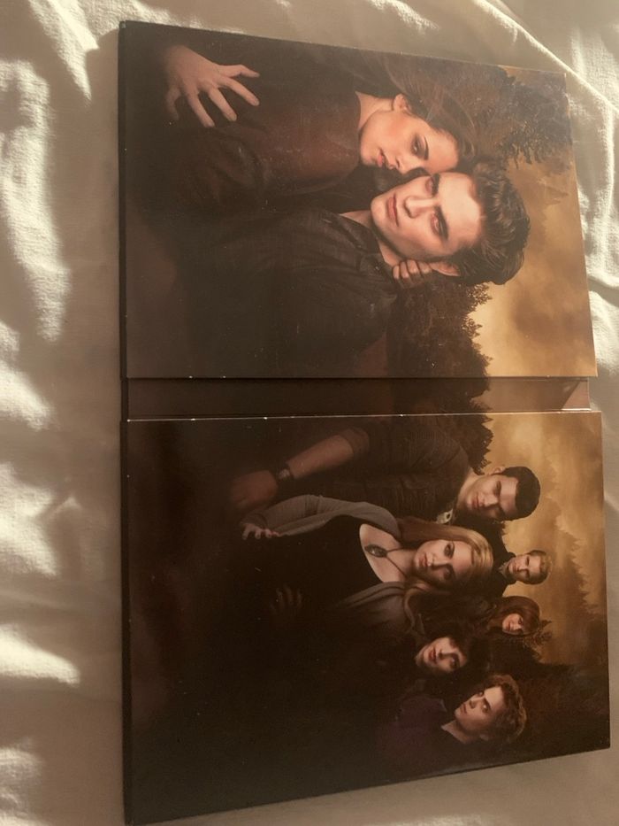 DVD twilight - photo numéro 5