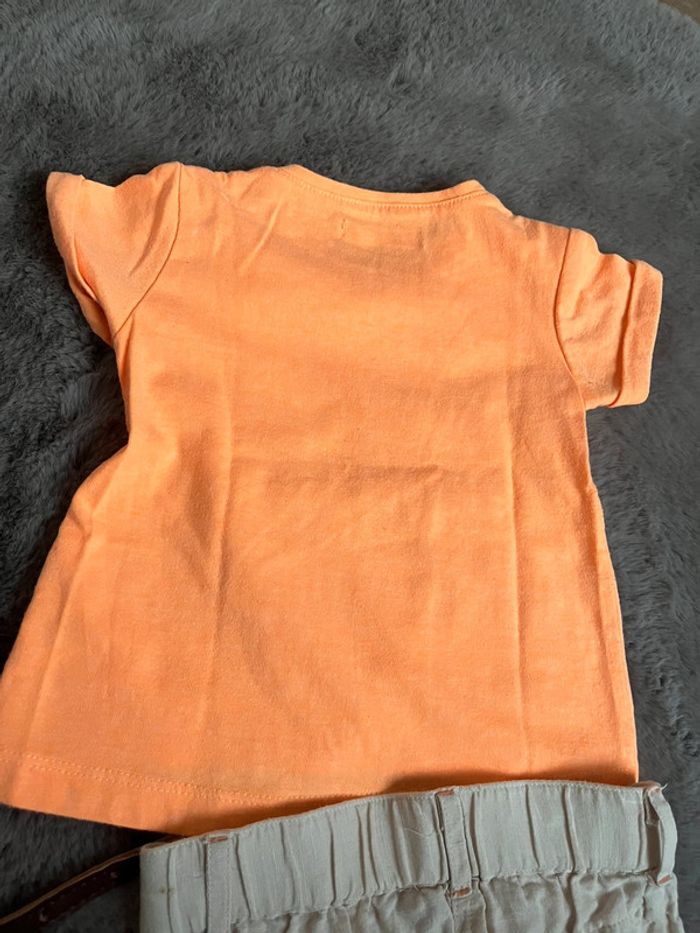 Gémo 12m t shirt pantacourt ceinture - photo numéro 10