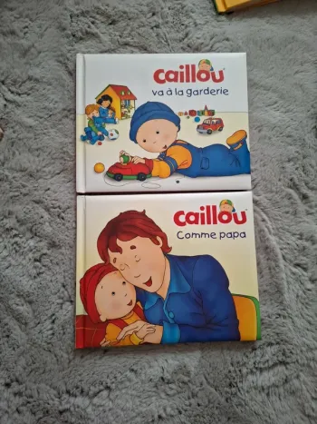 Lot de 2 livres "Caillou"