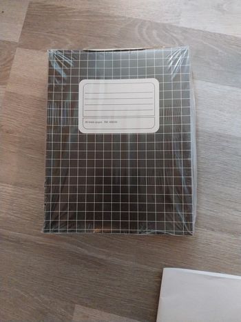 Lot 10 cahiers 17x22cm 80 pages 10x10mm