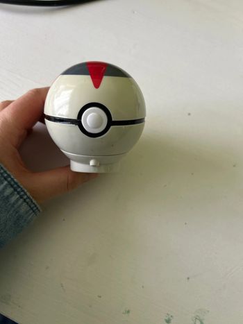 Pokeball Pokemon