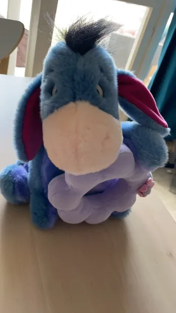 Peluche Bourriquet, cadre photo