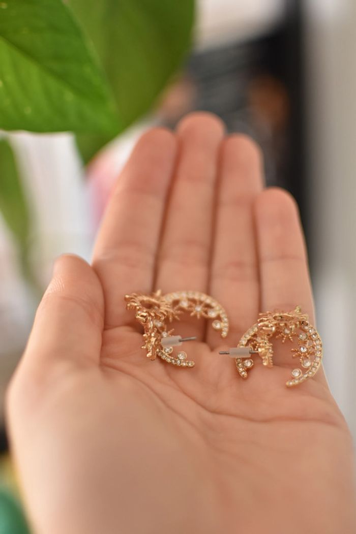 Boucles d'oreilles - photo numéro 2