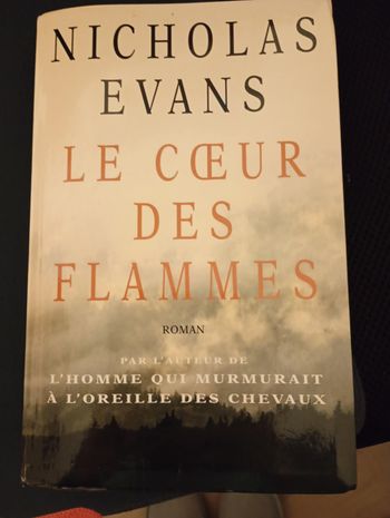 le coeur des flammes