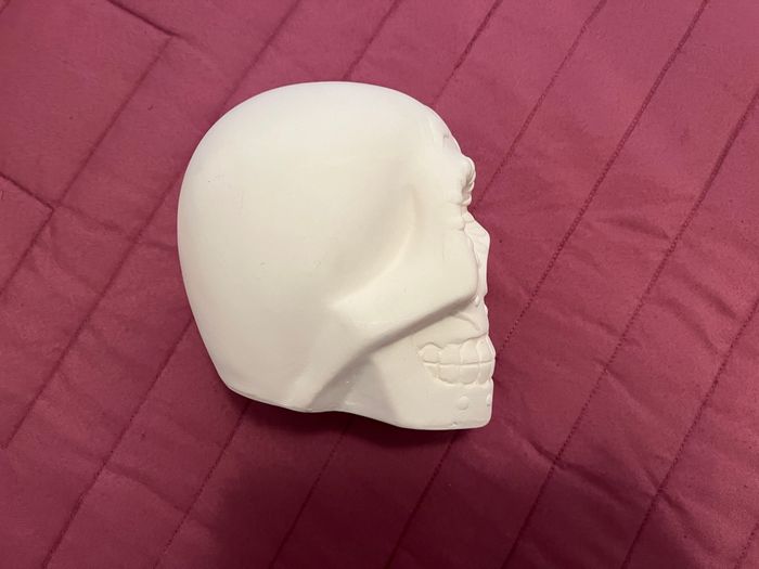 Lot Crâne en Plâtre, Peinture, Pinceau. Neufs - photo numéro 3